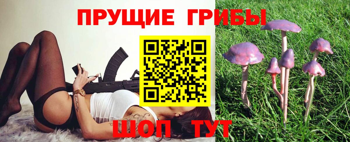 Псилоцибиновые грибы Psilocybe  Вход с VPN  Белогорск 